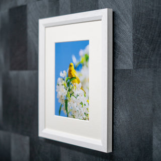 Framed picture of a yellow bird on flowers against a blue sky on a dark textured wall.