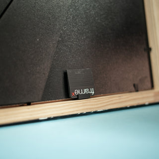 The Frame X Pick