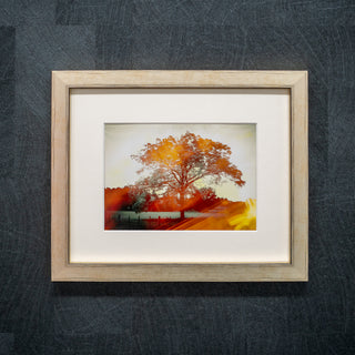 Framed artwork of a tree with autumn colours in a gold on a textured dark grey wall.