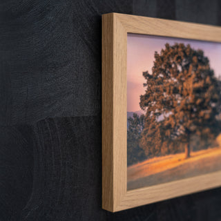 Framed artwork of a tree against a sunset sky on a dark textured oak wood frame background