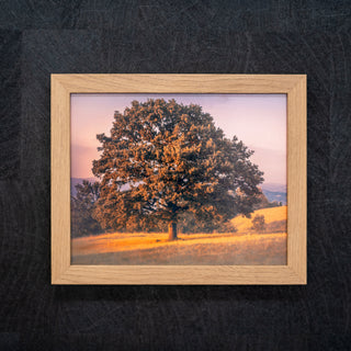 Framed picture of a tree on a hill with a sunset background oak wooden frame