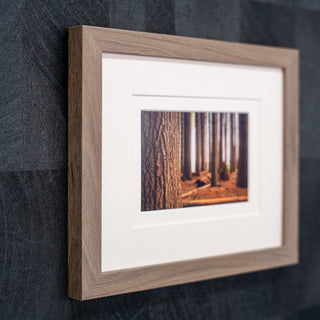 Framed photograph of a forest scene on a textured wall in a mid tone wood