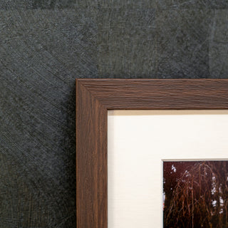 Close-up of a dark wooden picture frame against a textured dark grey wall.