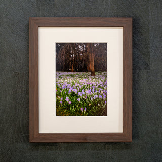 Dark wood framed photograph of a field of flowers with a dark textured background
