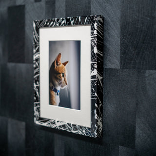 Framed picture of a cat with a decorative black and white frame on a textured gray wall.