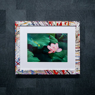Framed picture of a pink flower on green leaves with a colorful abstract border.